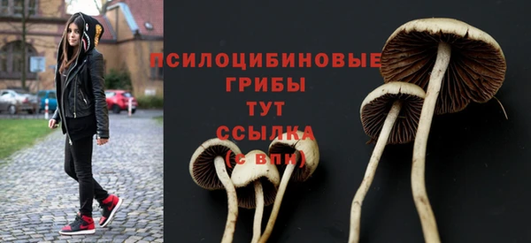 тгк Нязепетровск