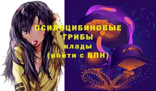 мет Осинники