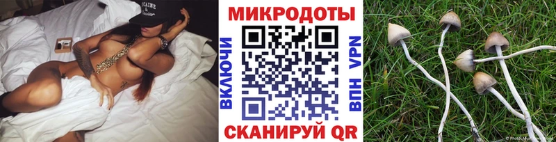 купить   Электроугли  Галлюциногенные грибы Magic Shrooms 
